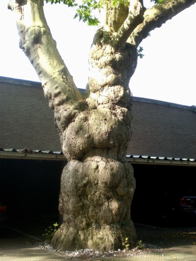 48565070-8631-4243-84A9-7B284128D1E4