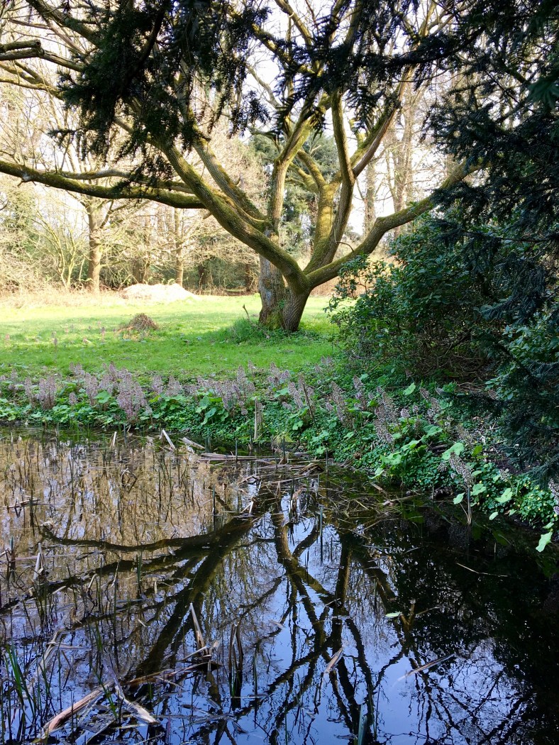 BDB22DEB-8F80-42F1-A22C-8D997C7C43B2