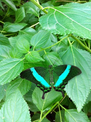 895B562B-1AAF-4363-8972-A9EA87667098