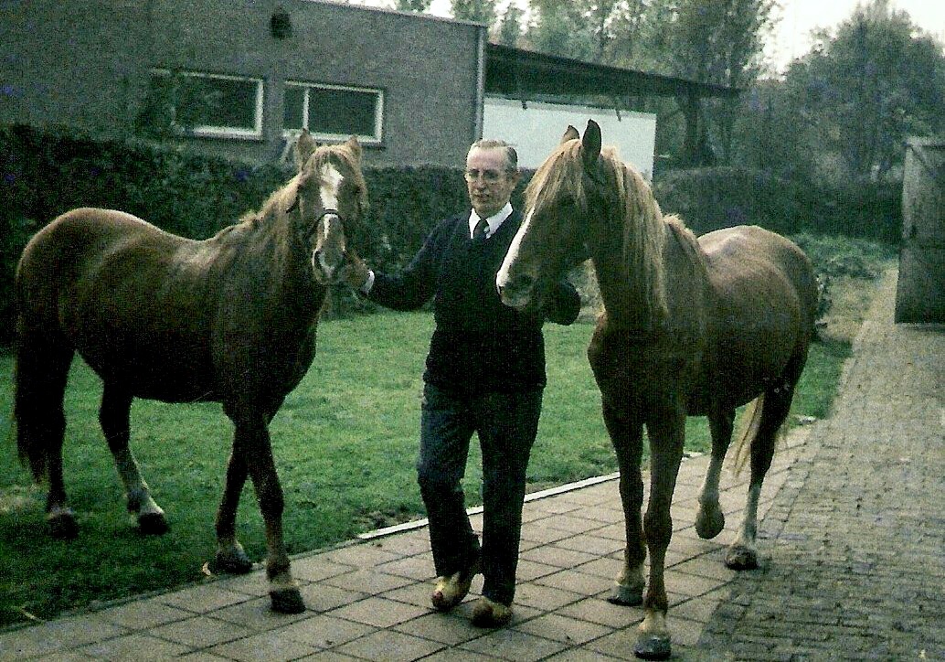 AE35243E-AE0A-4D03-AC85-90DBFB5C63EB