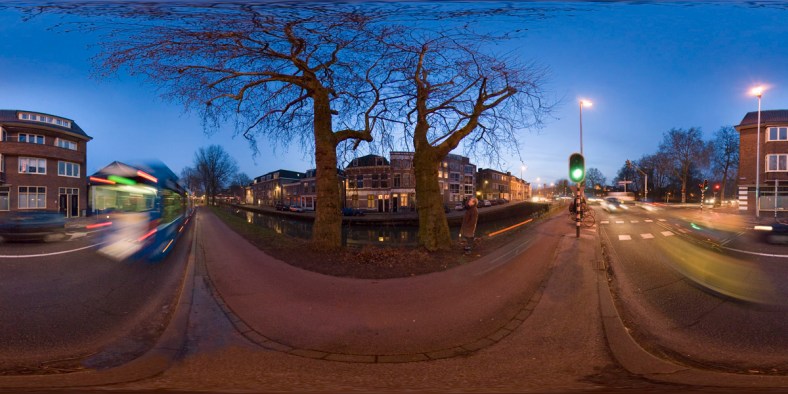 Platanen Venuslaan Utrecht