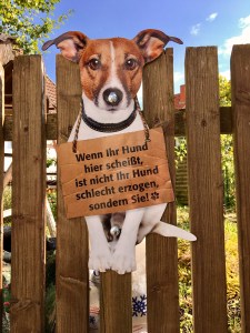 70E3E60E-2959-436F-B9D0-2C728116ECF1