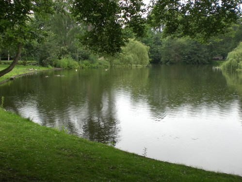 vijver wilhelminapark utrecht