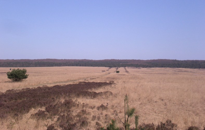 Veluwe