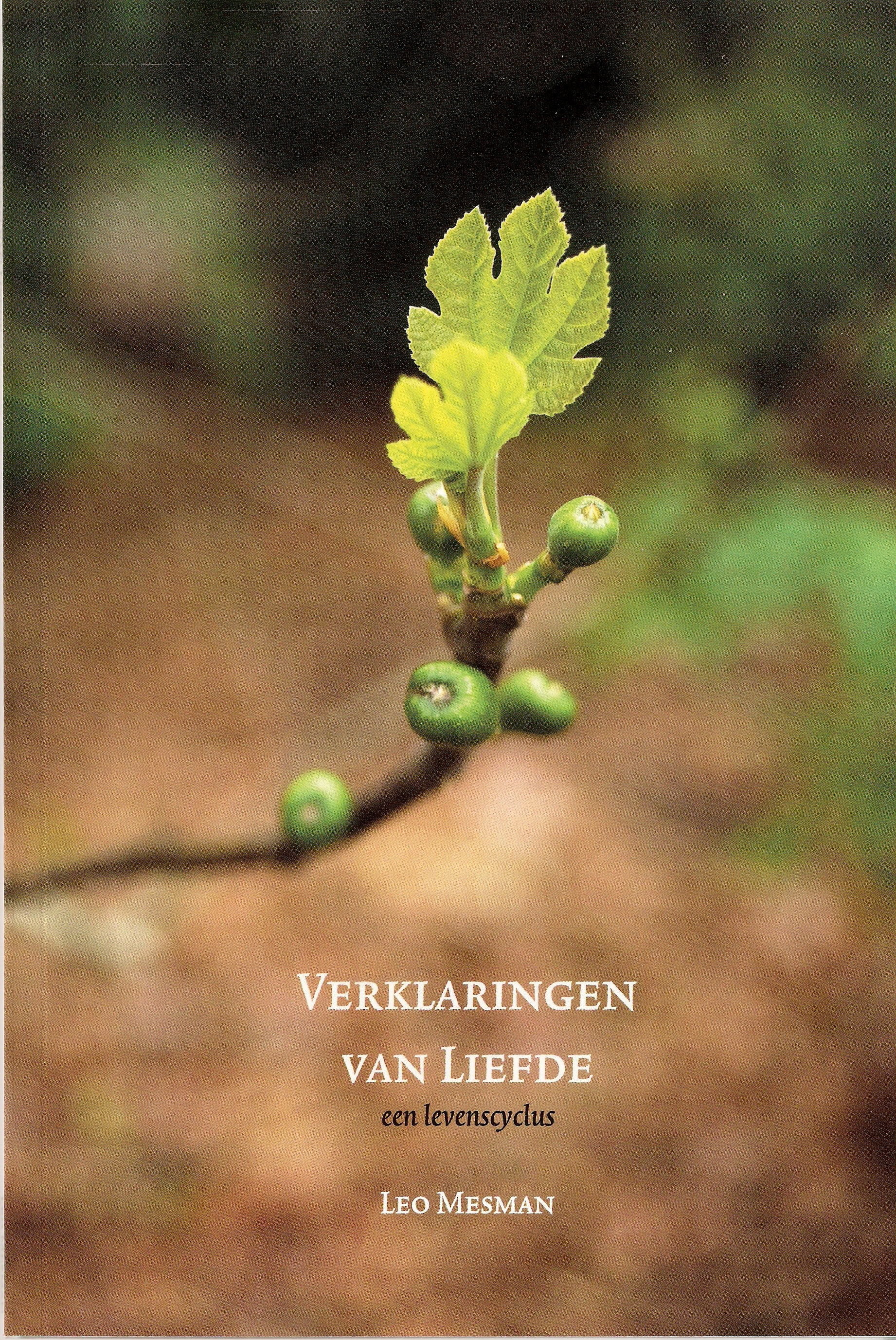 Verklaringen van liefde