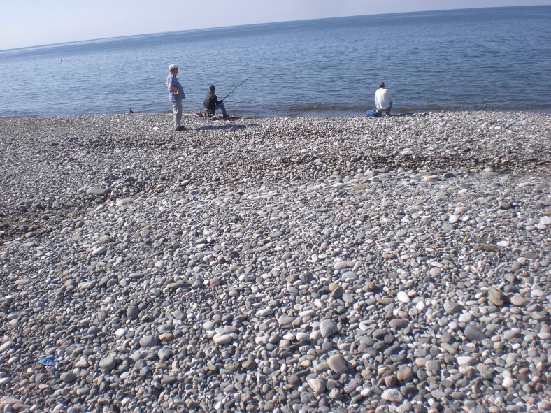 f87f2092-d531-4d83-ade4-6be79f9734df