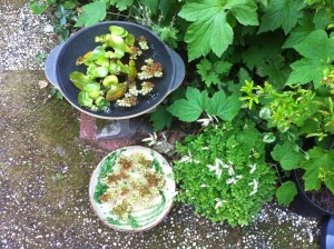 23852263-1663-44F8-84A5-6141E4D8CE6F