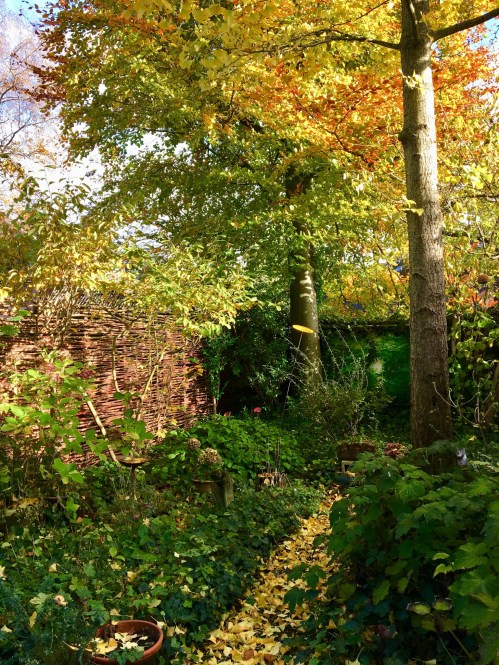 6F90F125-D33D-452E-B1E3-5A524CCE8D87