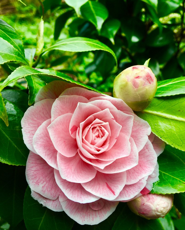 803AACB9-FE35-439D-A7E3-BFCEC4945A9A