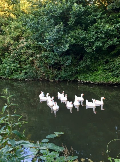 5F873928-2AD6-4036-87E1-ED961105585C