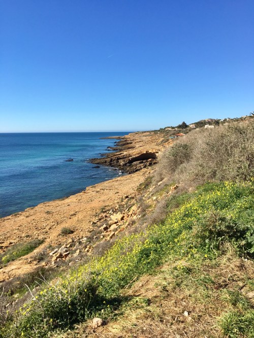 C5CC386F-C330-4879-8392-B3BFF8E1D777