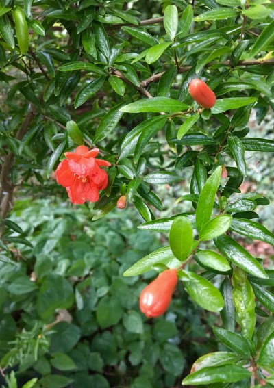 17DC0C7C-F31F-4DF7-92C3-D5E847856FF9