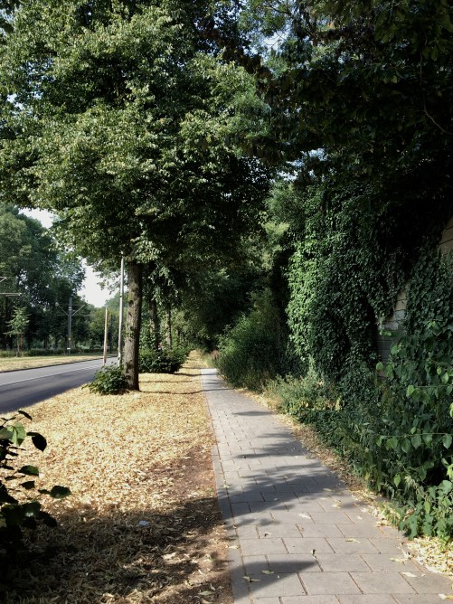 F8272251-FB4E-4448-B5AF-D0A9F8C95F19