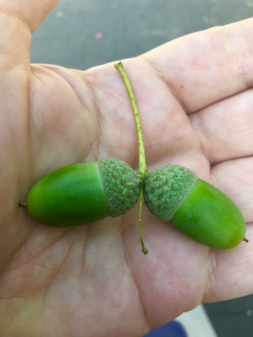 37EDC512-0ED5-44A2-899D-F63A082A17D9