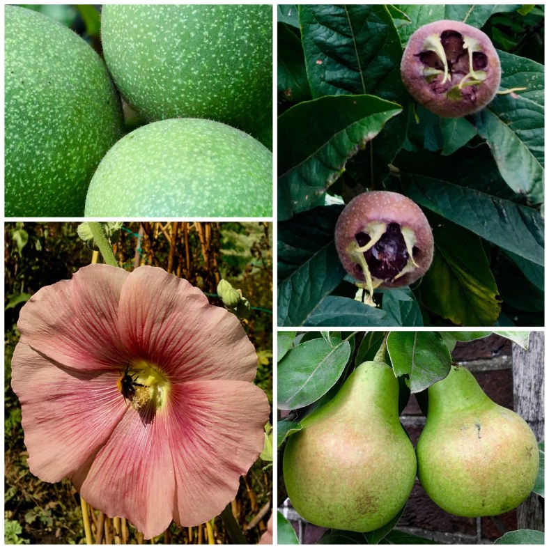 3C6C9003-732A-4DAB-BDF9-8B39D93F49FF