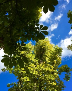 8E9B18D0-59CA-4394-AACD-AE017E55EA08