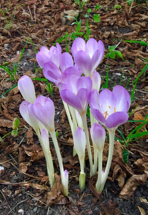 05CD91D5-0A9D-4145-85DC-34017D3E4343