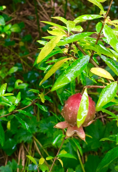 2B4826D4-EEC9-4183-912B-02DD3C07D52F