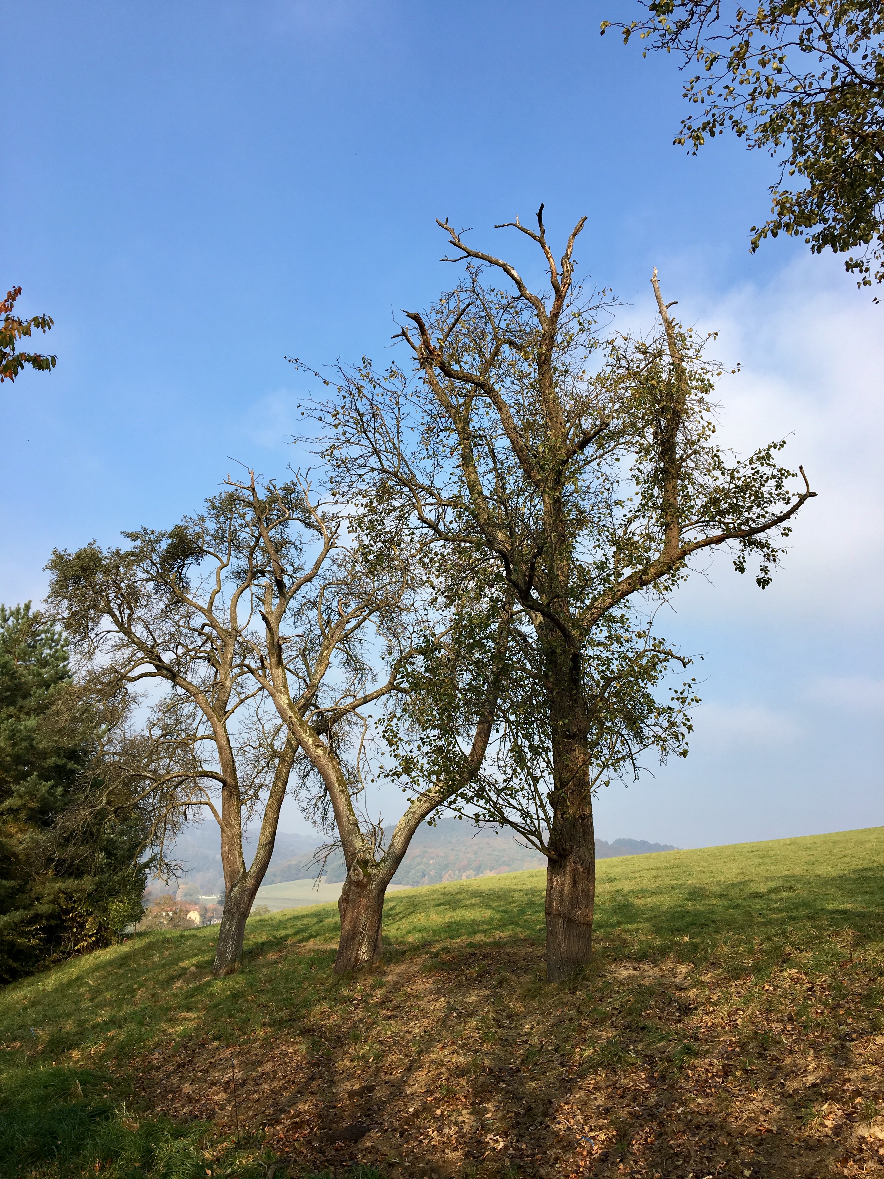 46C95DBB-39E4-48DD-9283-93A2A3071E93