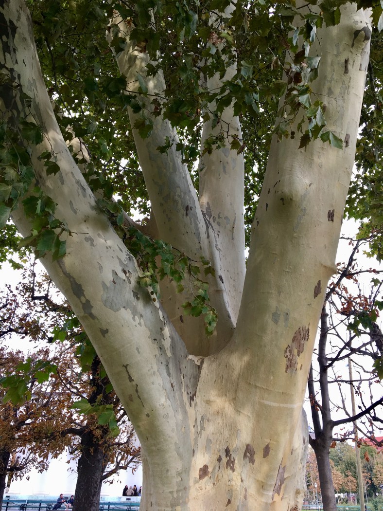 8EFB91CB-F250-4767-ABA1-ECE3E623A63E