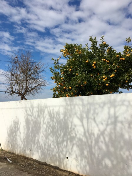 91481484-303D-4DBC-984E-A44D2909CF0D