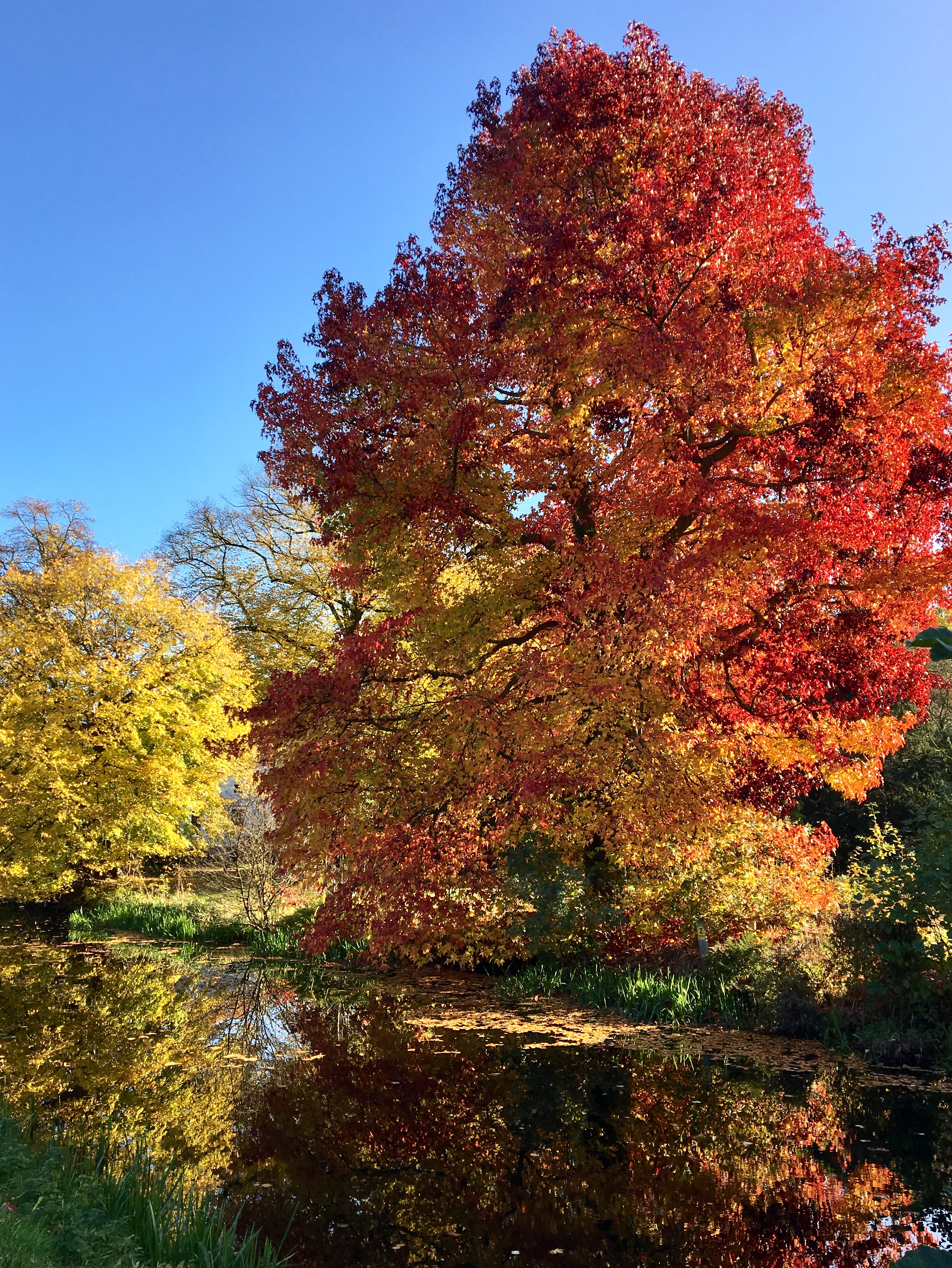 D60D4EFE-E850-432E-B3B2-311E16927704