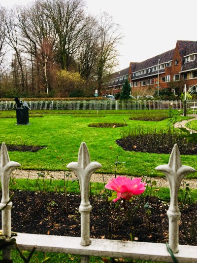 4176d48d-dfa3-4bad-8b57-86c6b14f65bf