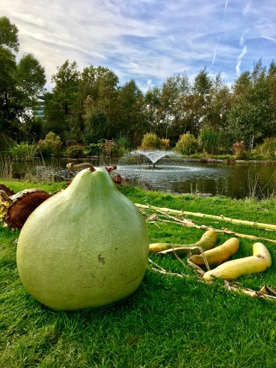 3A869D5E-EAD7-4FB6-8C53-887B76624BCE