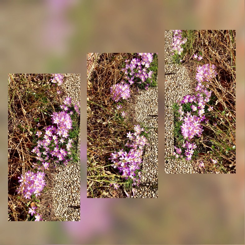 CFDEEE98-0D83-4339-839C-90DEF10542F7