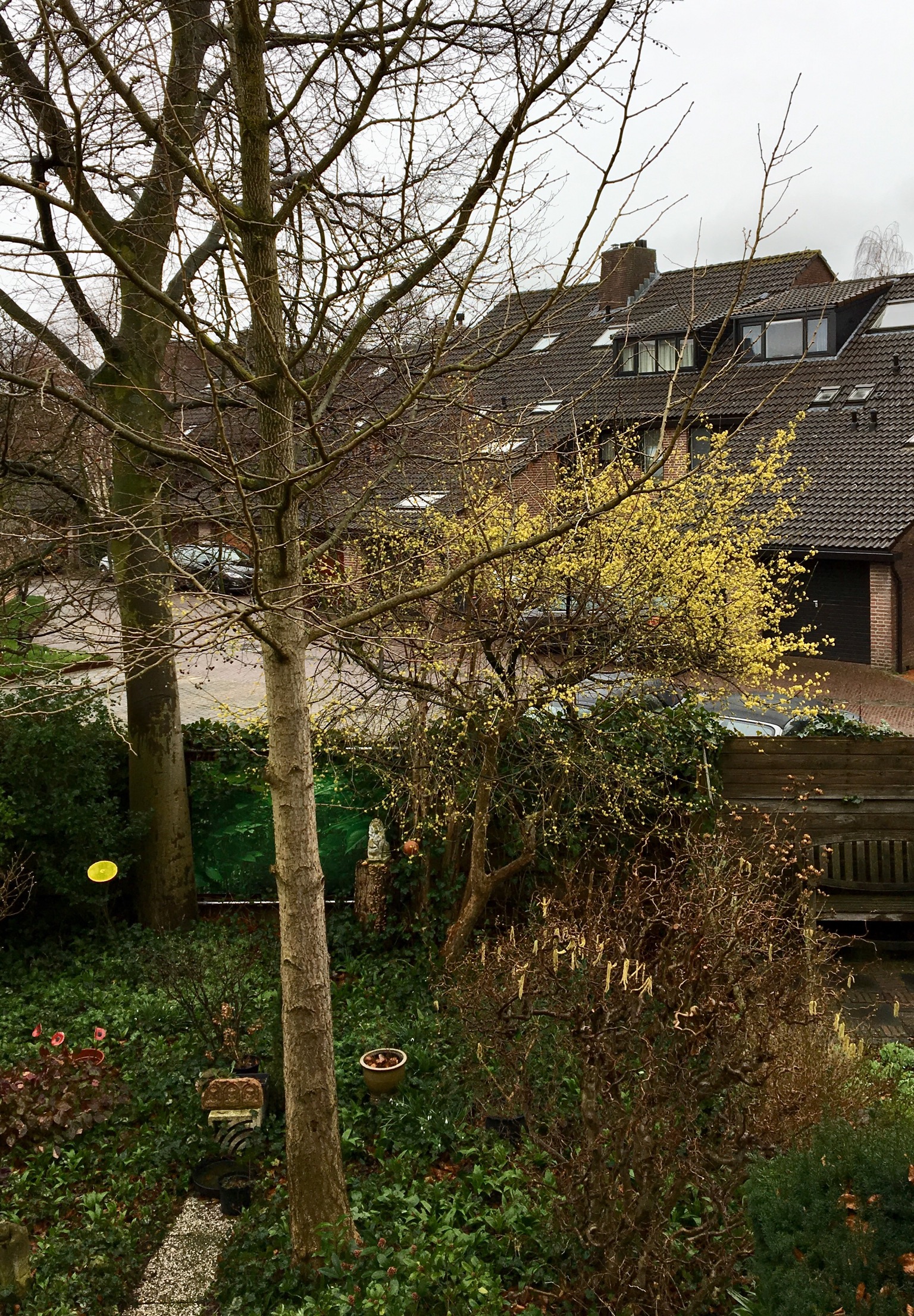 9B402454-8AA2-4236-AC7E-FE8E5157938E