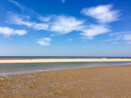 375B8716-CAD1-49EB-B8AD-5FB99435AC58