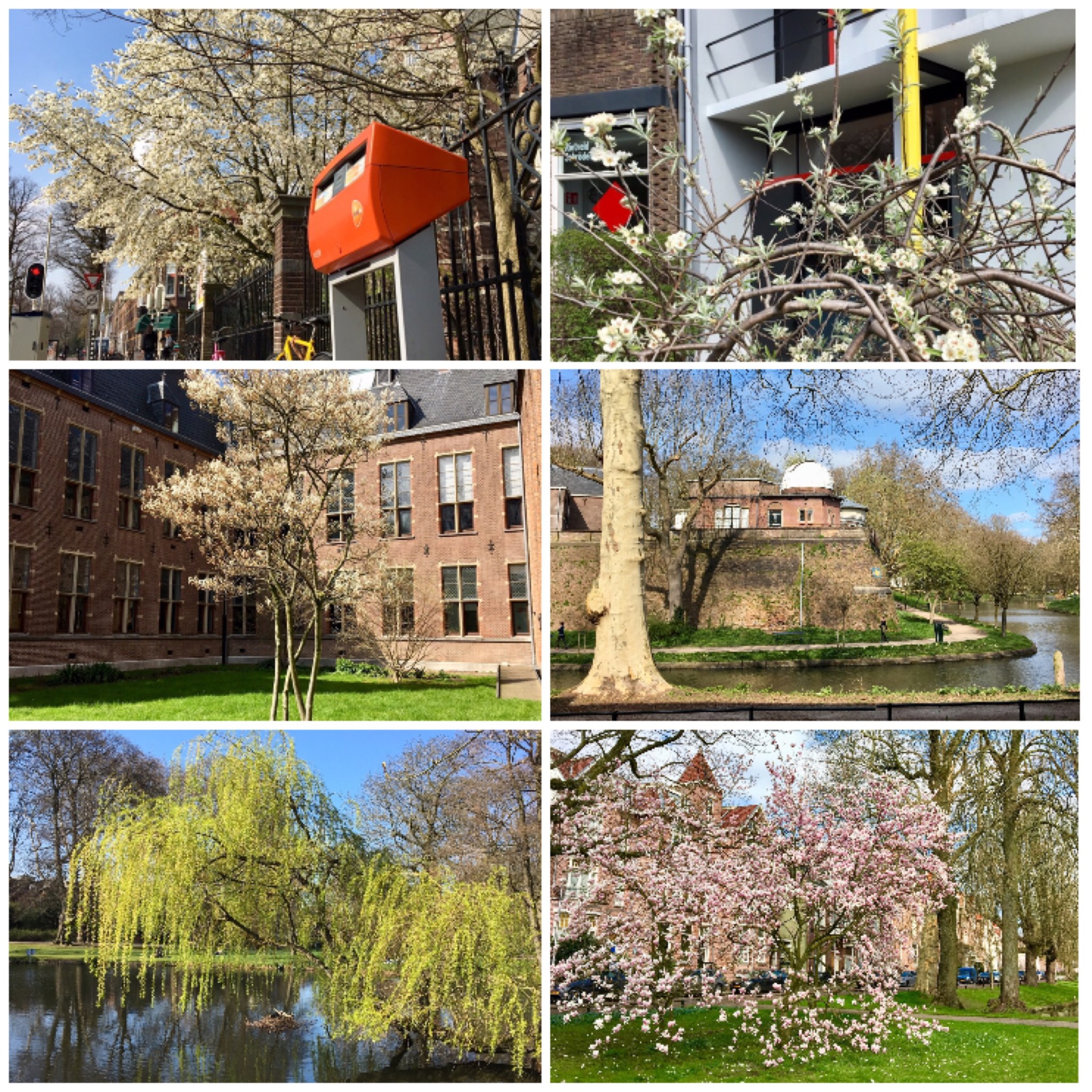 8EAD236E-0D11-454C-93FC-071D5A6381B4