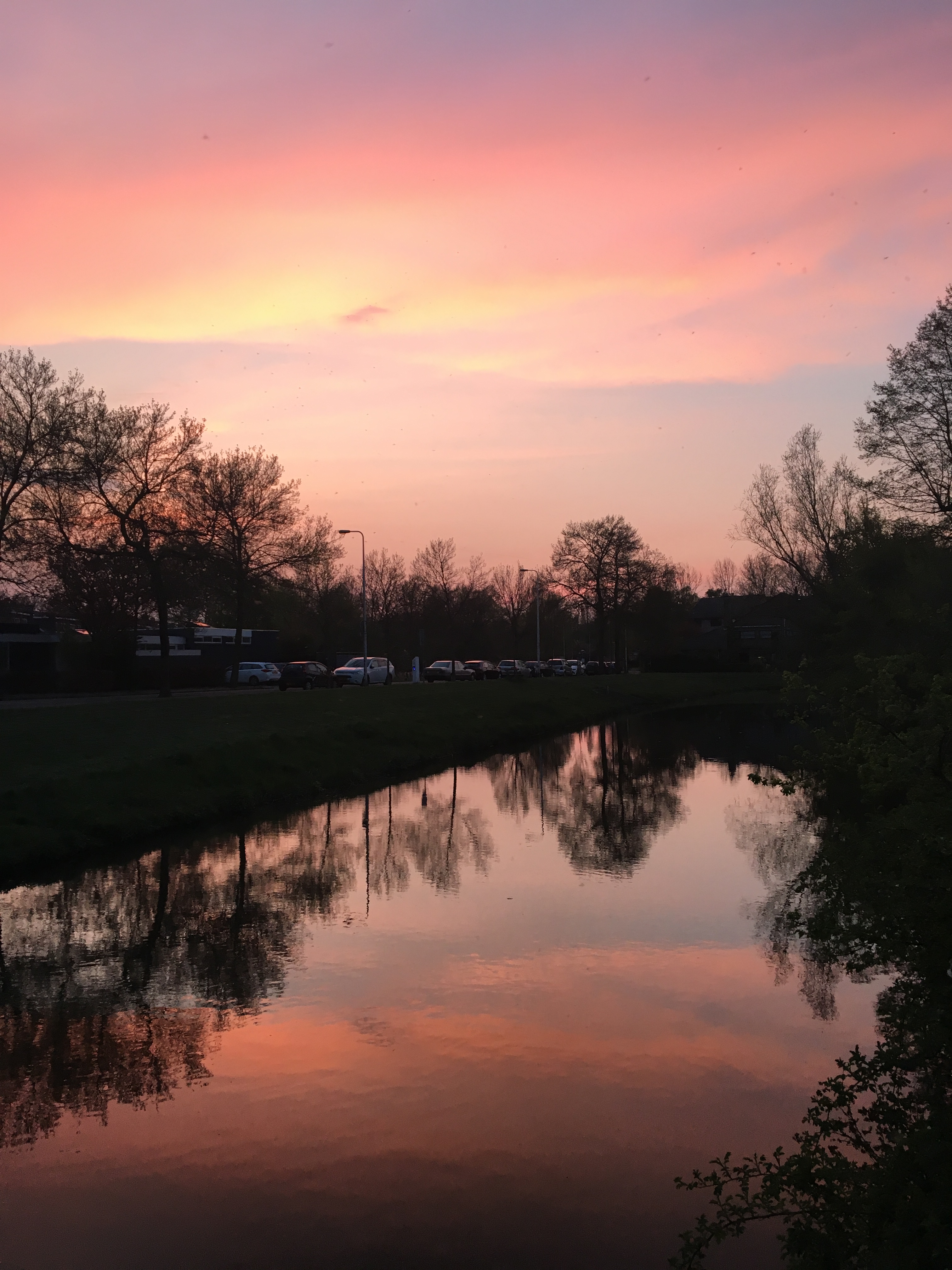 B2E1E010-F824-432A-9DF0-E2C86174F641