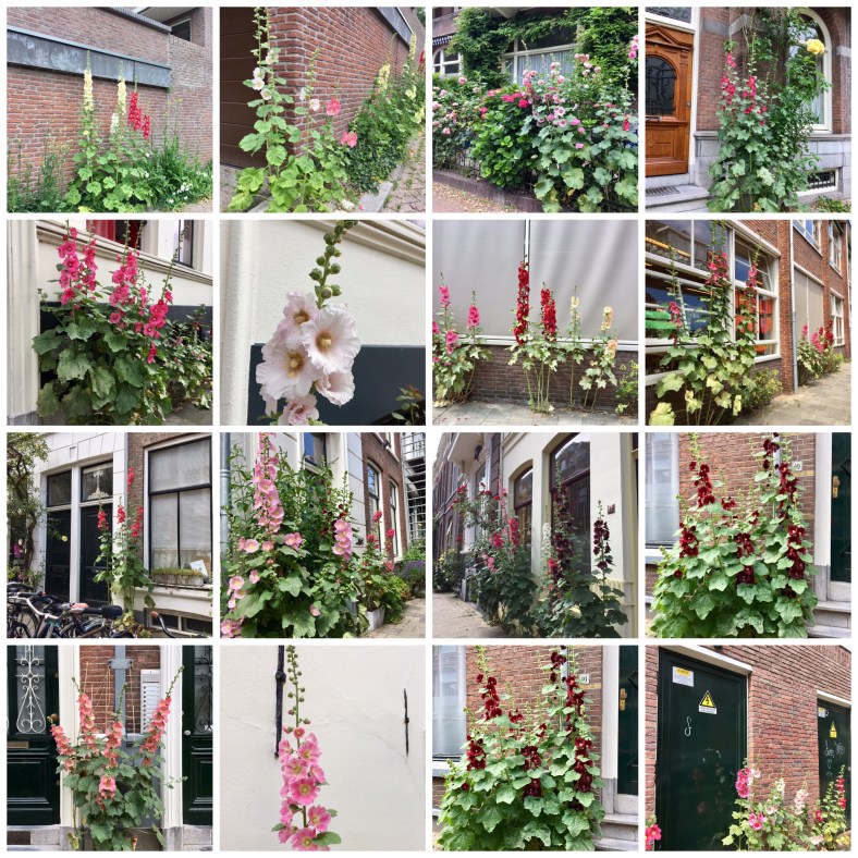 F79AC804-4EA0-4823-B462-4EBEDCDC599A