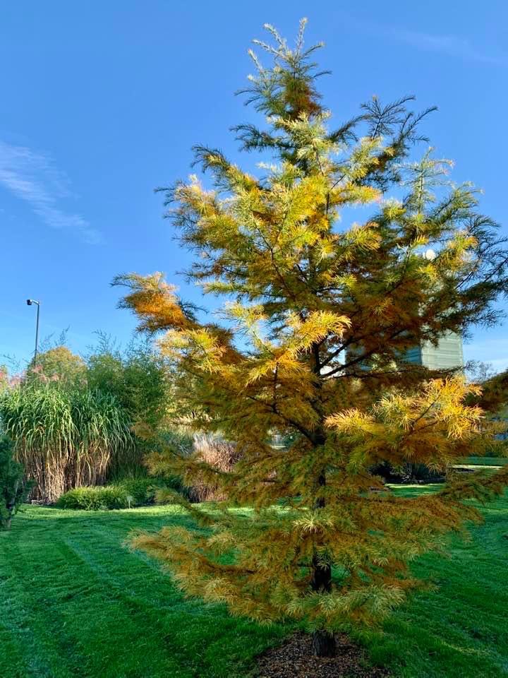 63322aa0-8510-4d77-9693-85d4a08de2bf